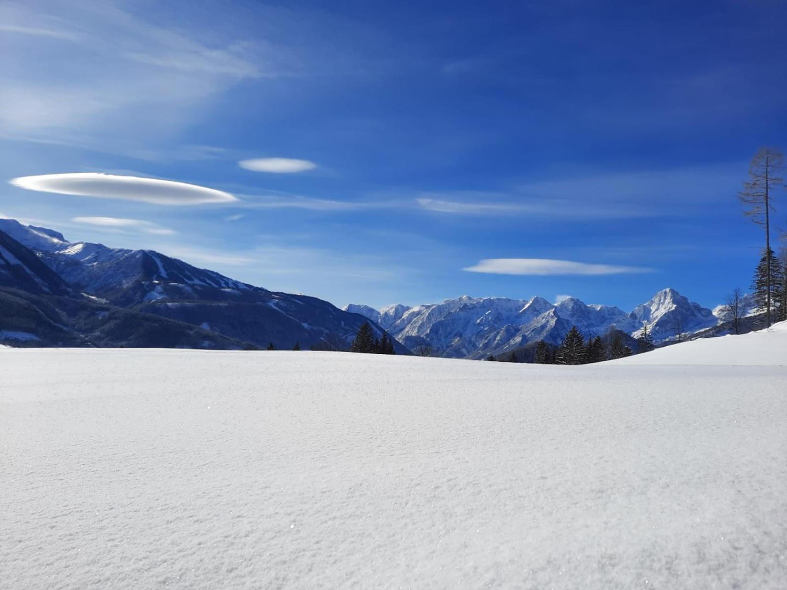 Pension Alpenhaus Vorderstoder Exteriör bild