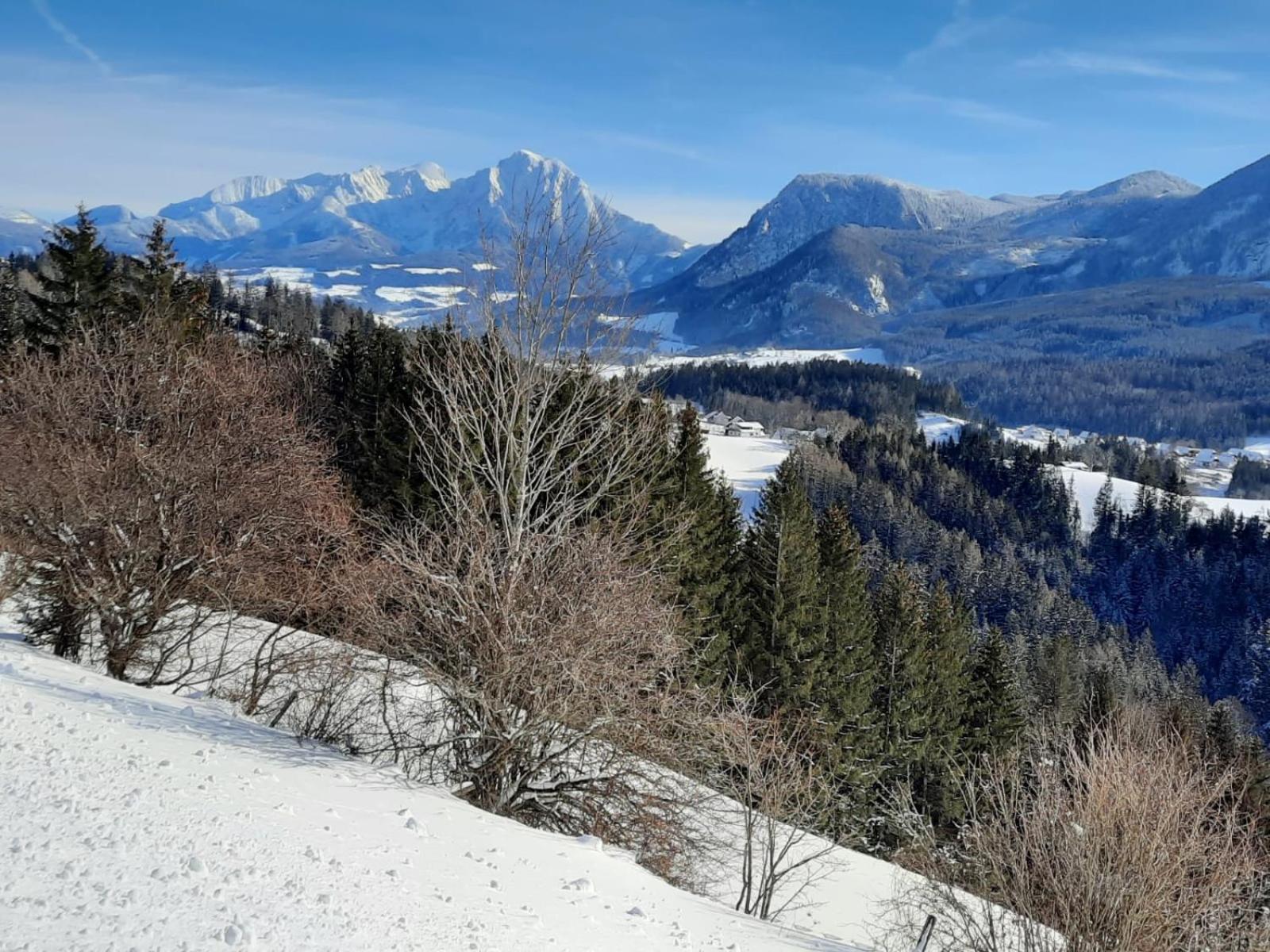 Pension Alpenhaus Vorderstoder Exteriör bild